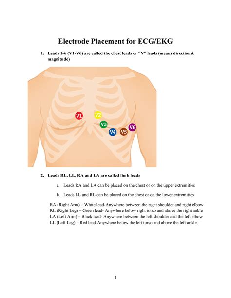 ECG